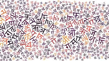 M.A. Hindi