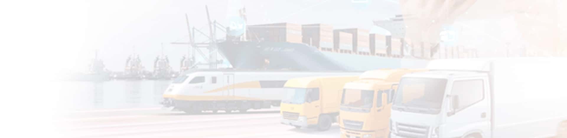 MBA in Logistics & Supply Chain Management background